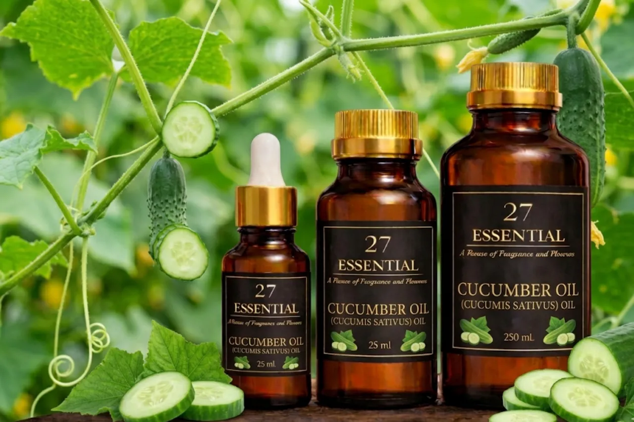 Cucumber oil