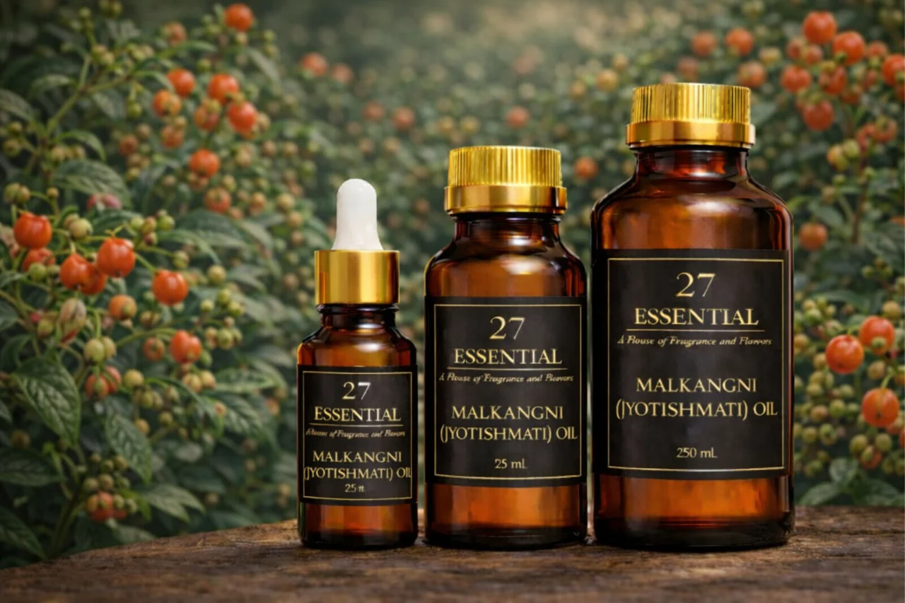 Malkangni (Jyotishmati) Oil